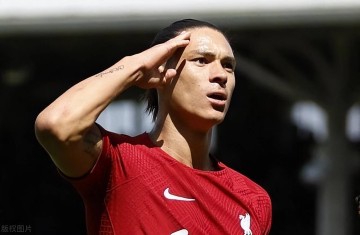 齐格勒建议努涅斯考虑德甲,阿隆索要制定更新换代的策略