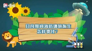 本泽马金球奖赛季,皇马欧冠夺冠核心