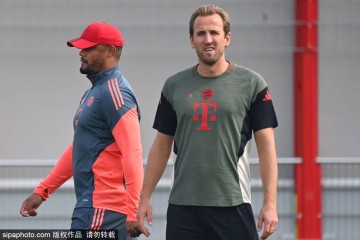 德甲3连败藏玄机!樊振东主动求变背后,刘国梁的布局太高明